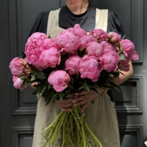 Bouquet de pivoines